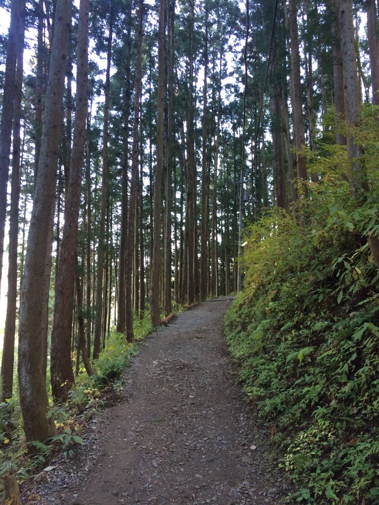 Photo 23-11-2014 12 11 14