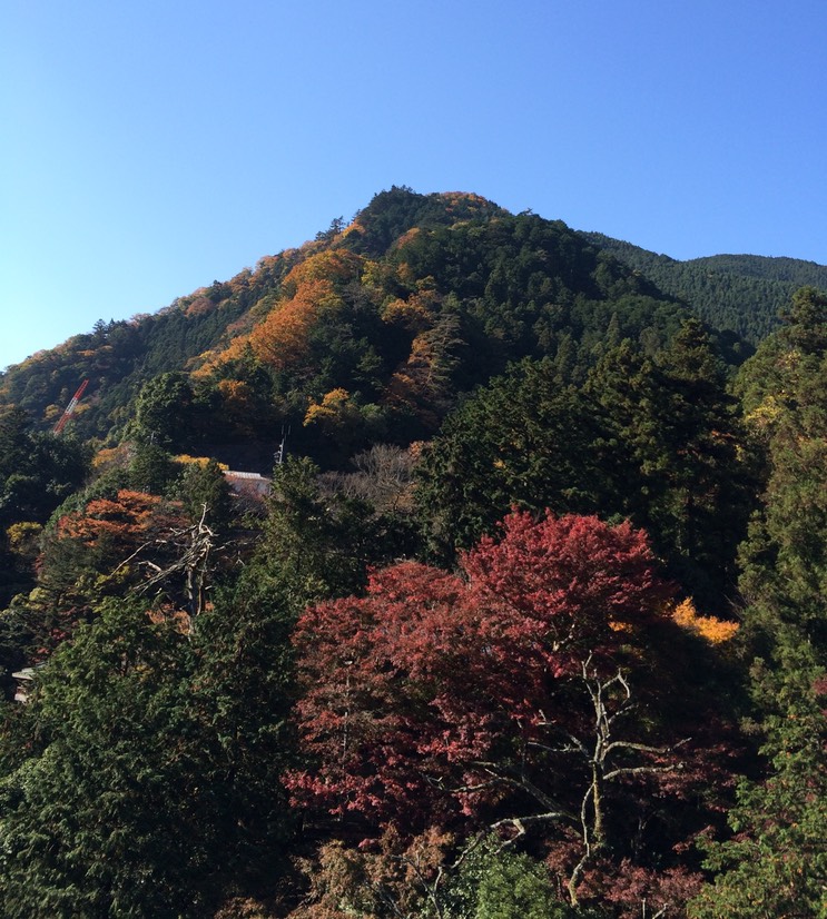 Photo 23-11-2014 12 17 55