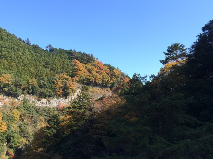 Photo 23-11-2014 12 18 05