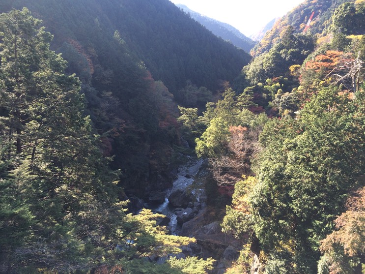 Photo 23-11-2014 12 18 26