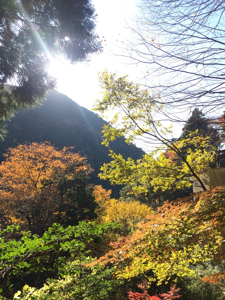 Photo 23-11-2014 12 29 27