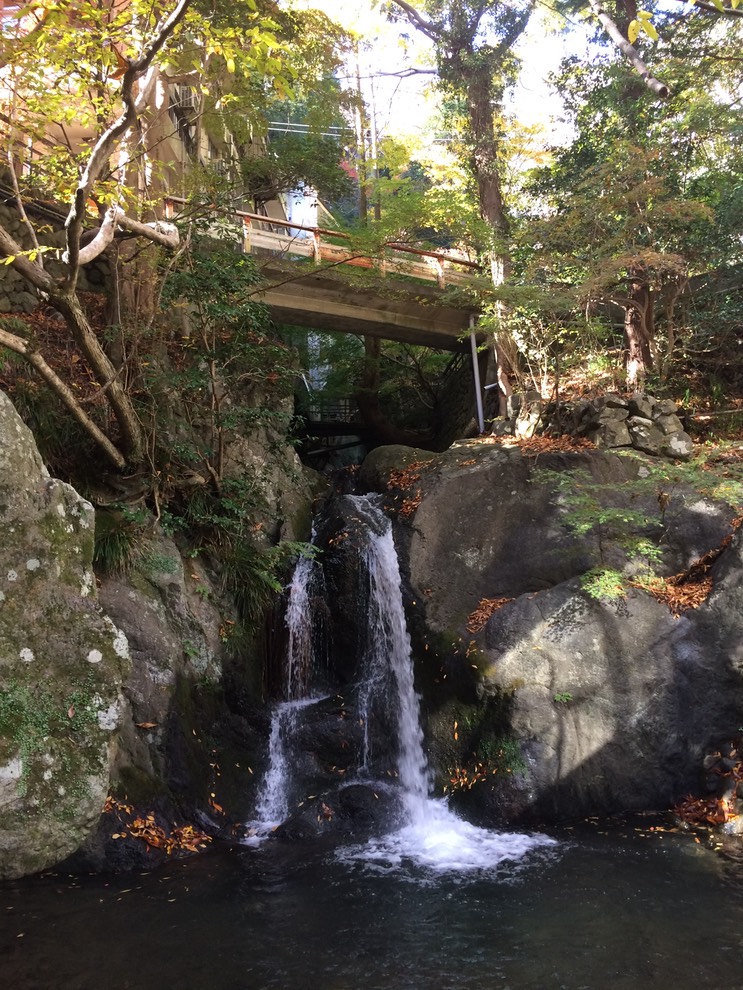 Photo 23-11-2014 12 32 55