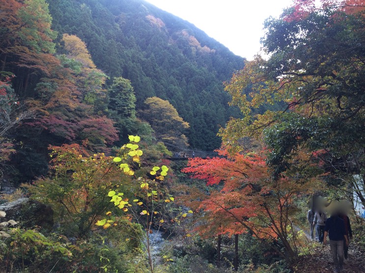 Photo 23-11-2014 12 33 12