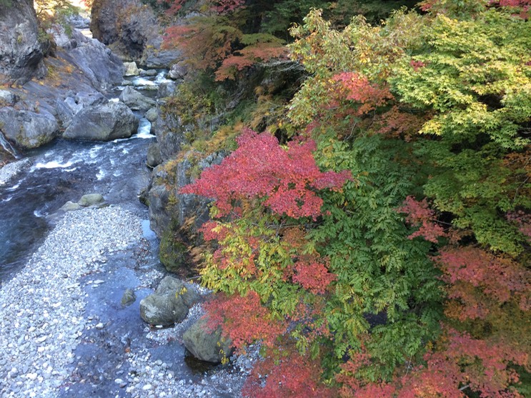 Photo 23-11-2014 12 35 35