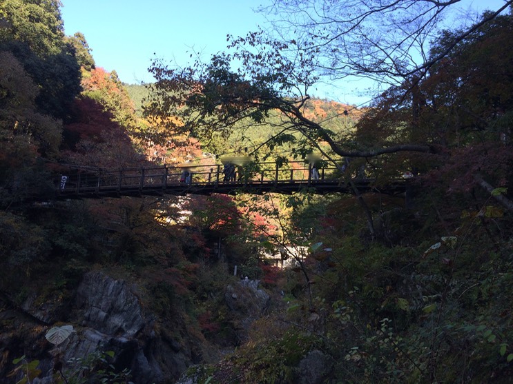 Photo 23-11-2014 12 37 24