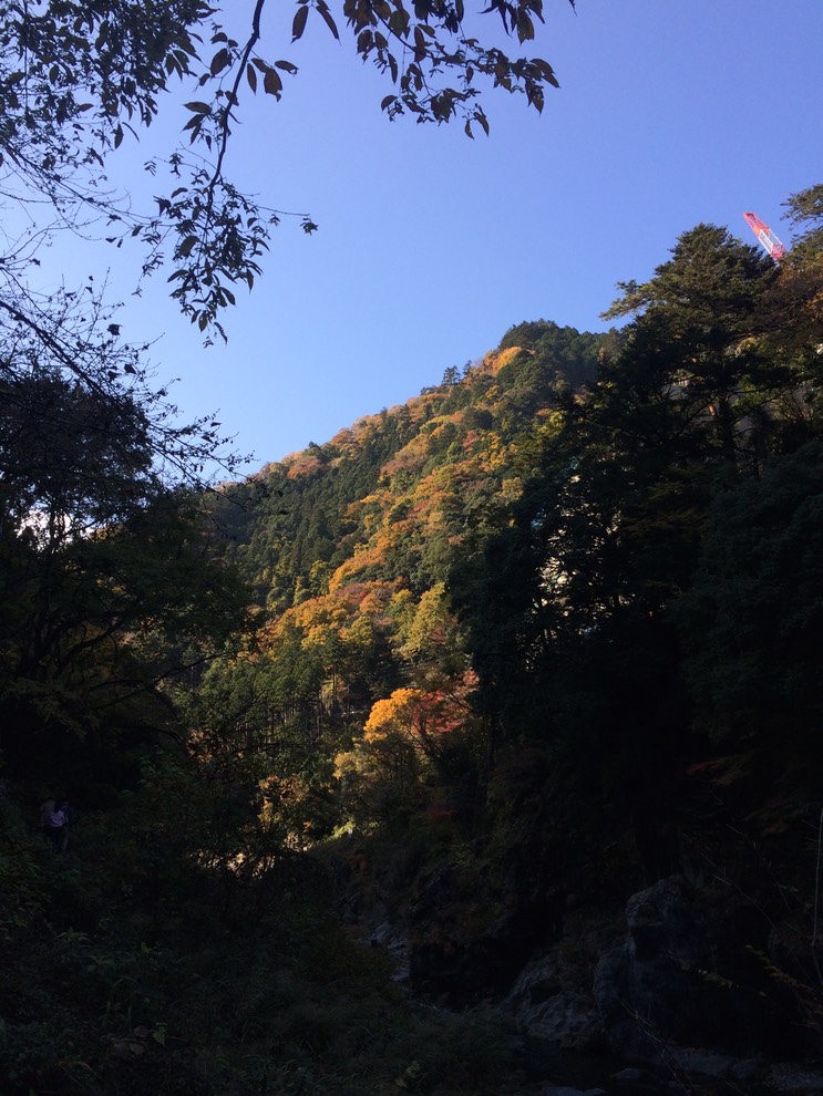 Photo 23-11-2014 12 37 55