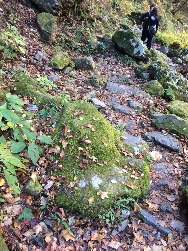 Photo 23-11-2014 12 40 09