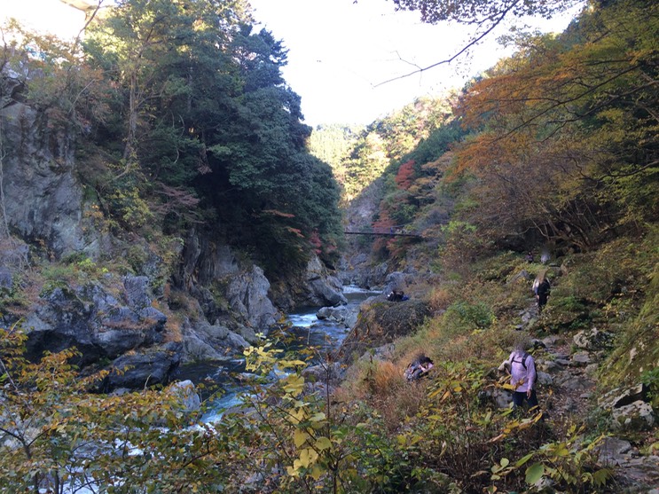 Photo 23-11-2014 12 41 31