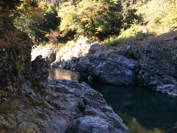 Photo 23-11-2014 12 42 44