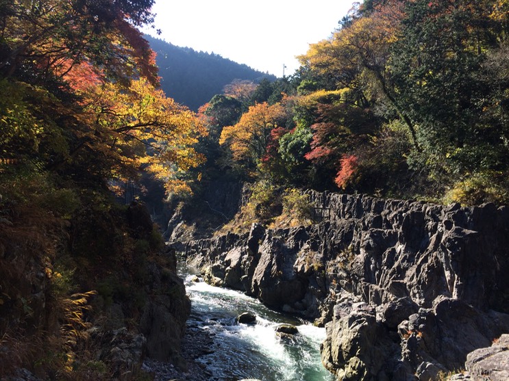 Photo 23-11-2014 12 46 36