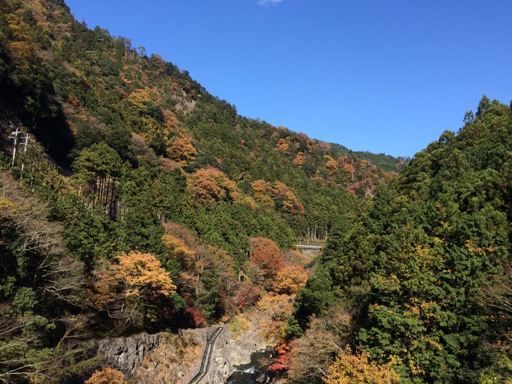 Photo 23-11-2014 12 51 52