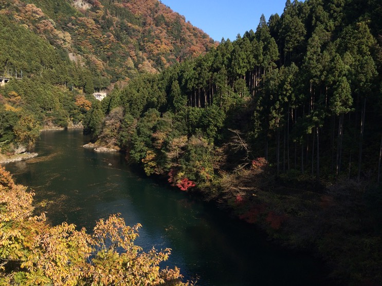 Photo 23-11-2014 13 17 28