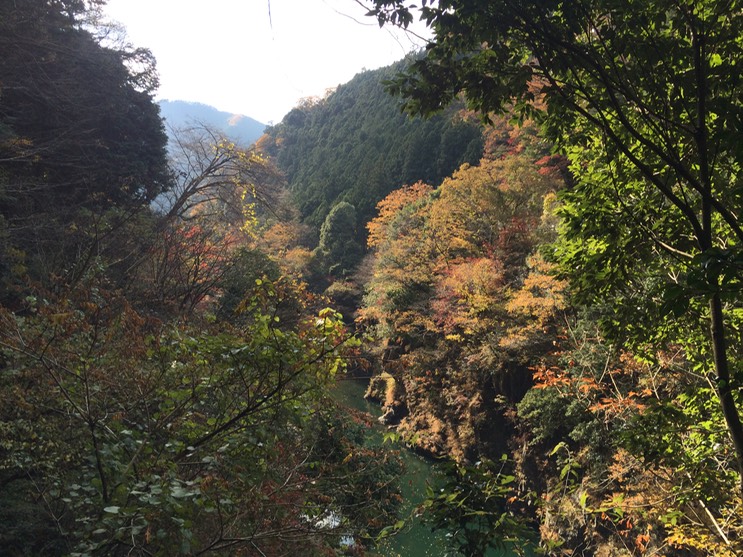 Photo 23-11-2014 13 21 28