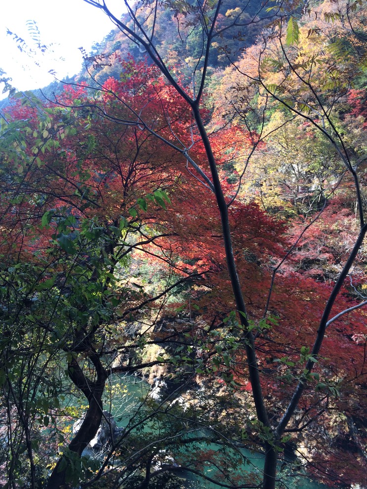 Photo 23-11-2014 13 22 15