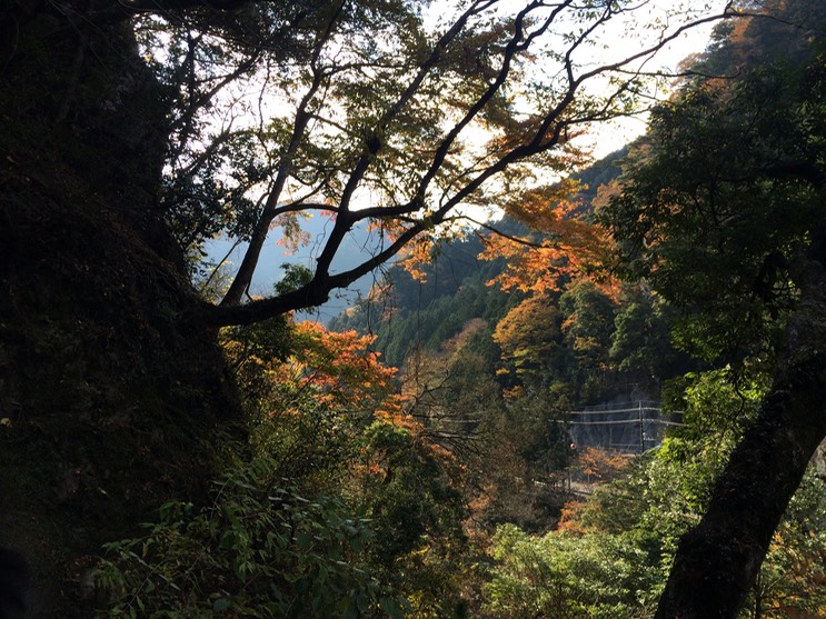 Photo 23-11-2014 13 26 38