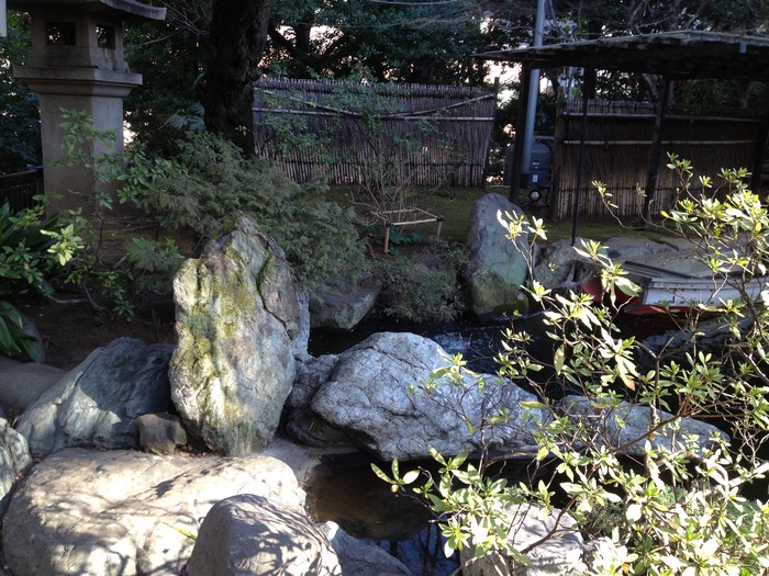 Photo 26-01-2013 14 38 50