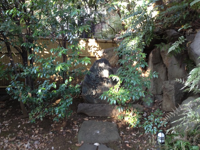 Photo 26-01-2013 14 41 05