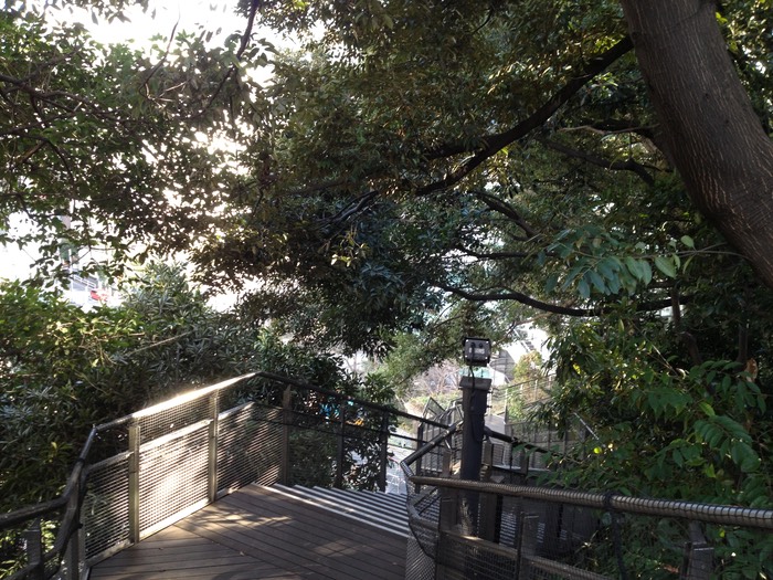 Photo 26-01-2013 14 46 19