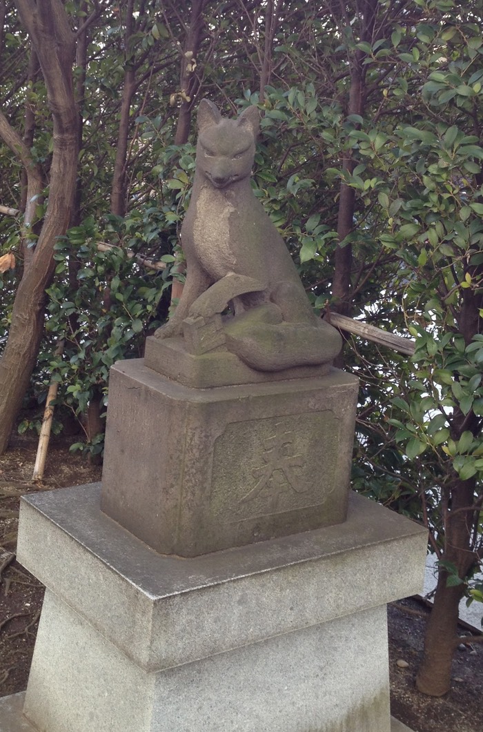 Photo 26-01-2013 15 00 41