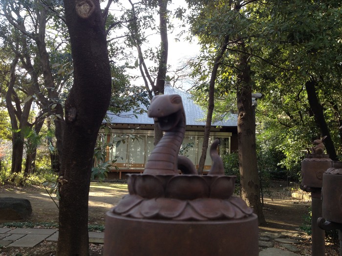 Photo 26-01-2013 15 04 46