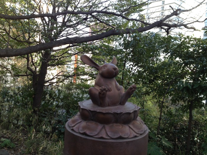 Photo 26-01-2013 15 05 21