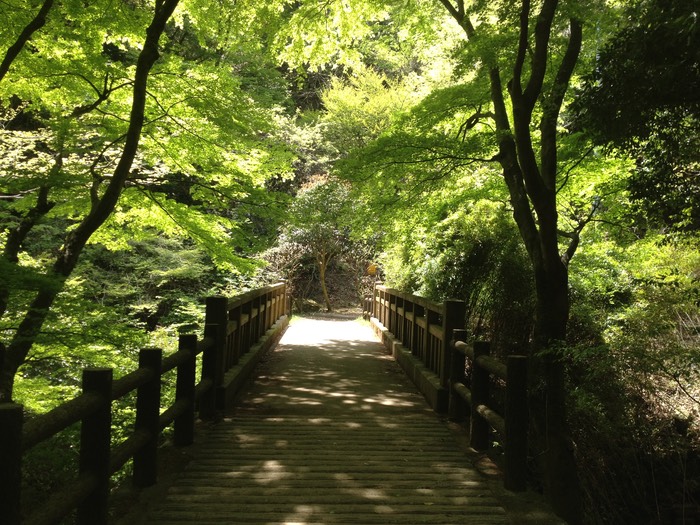 Photo 27-04-2013 12 05 14