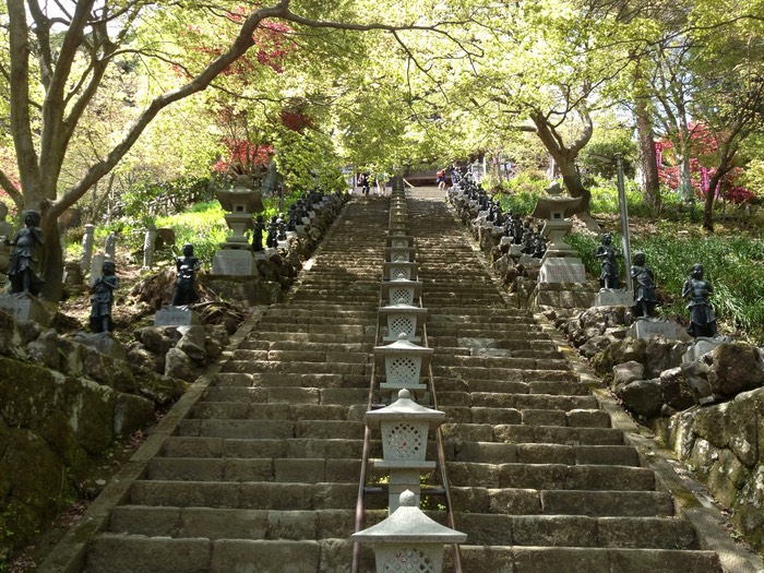 Photo 27-04-2013 12 15 33