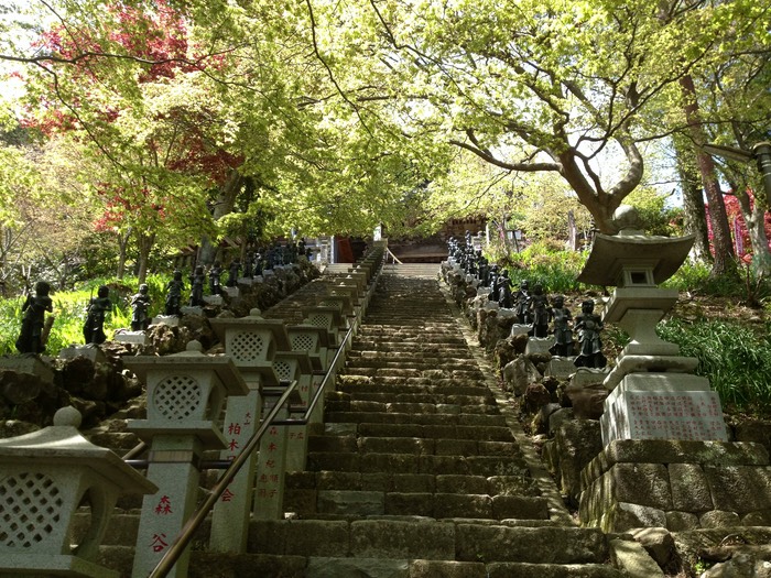 Photo 27-04-2013 12 16 04