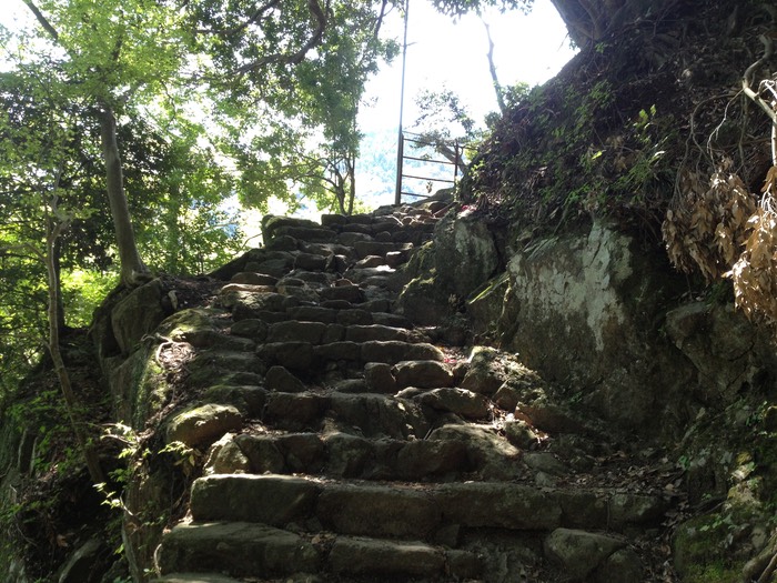 Photo 27-04-2013 12 29 26