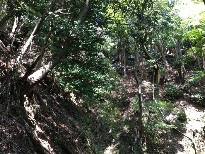 Photo 27-04-2013 12 29 33