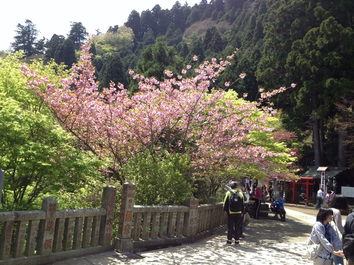 Photo 27-04-2013 12 42 18