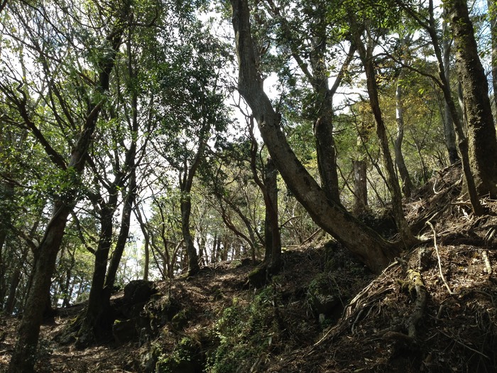 Photo 27-04-2013 13 17 48