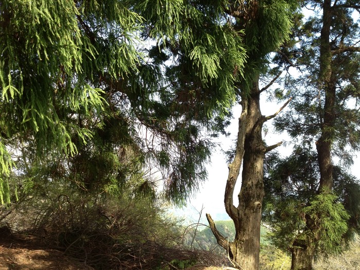 Photo 27-04-2013 13 21 11