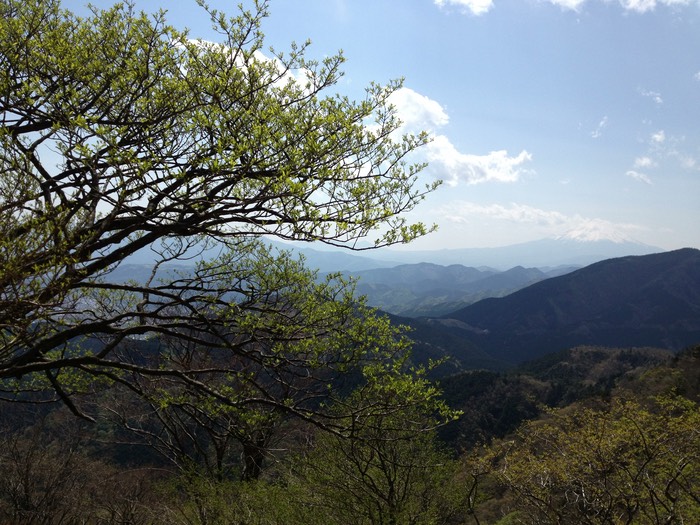 Photo 27-04-2013 13 30 39