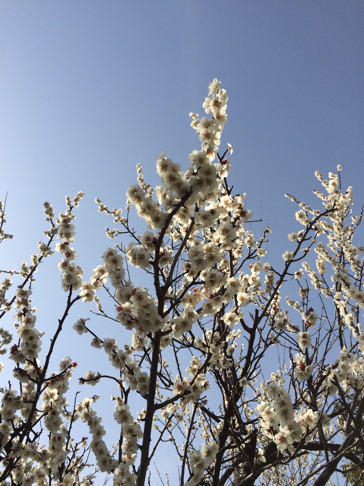 Photo 28-02-2015 14 17 44