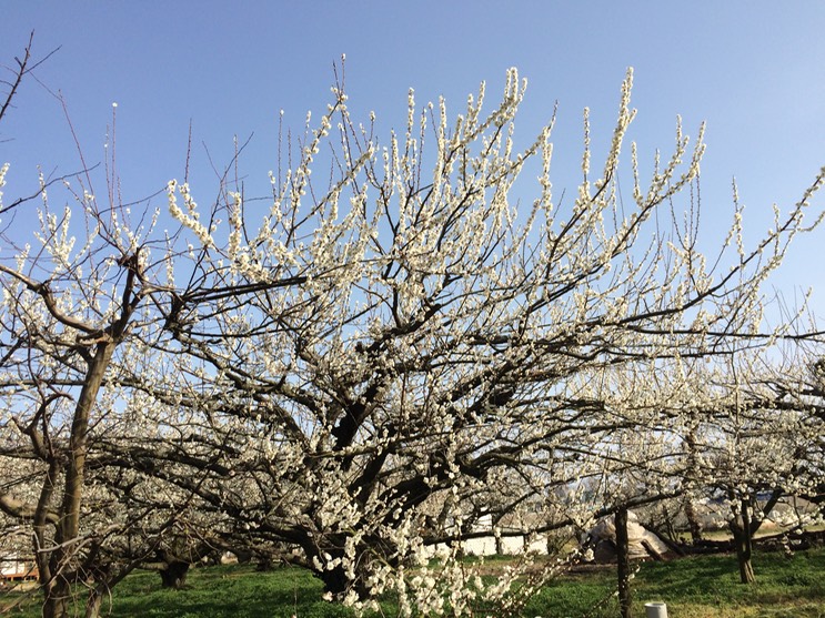 Photo 28-02-2015 14 24 24