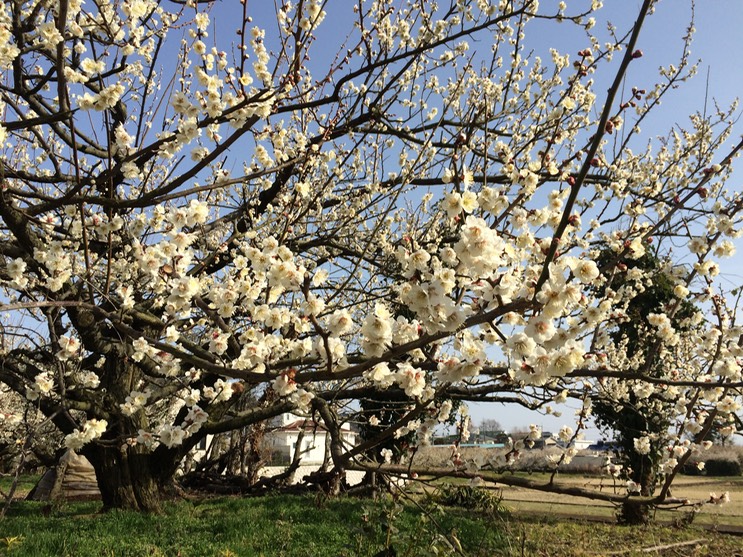 Photo 28-02-2015 14 24 41