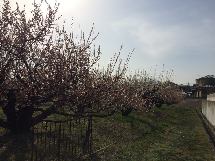 Photo 28-02-2015 14 24 55