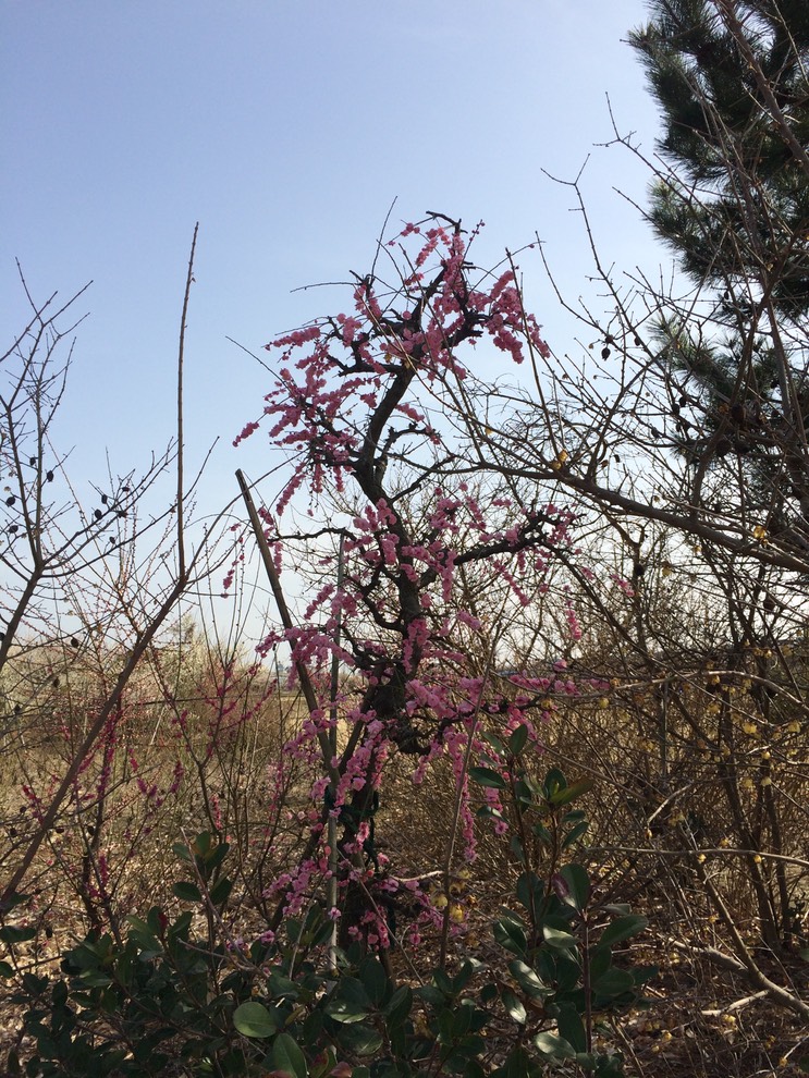 Photo 28-02-2015 14 27 39