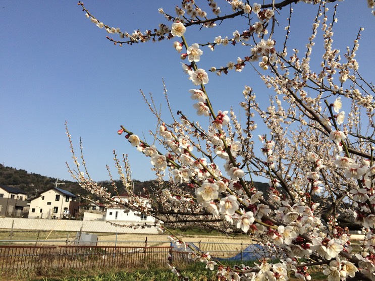 Photo 28-02-2015 14 28 36