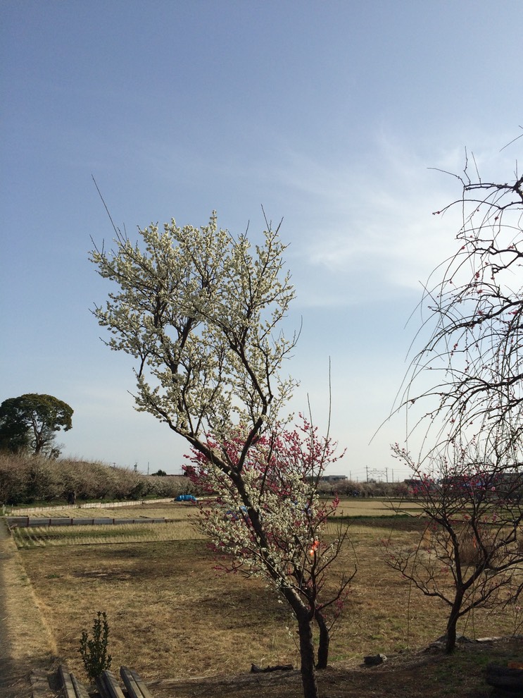 Photo 28-02-2015 14 29 44