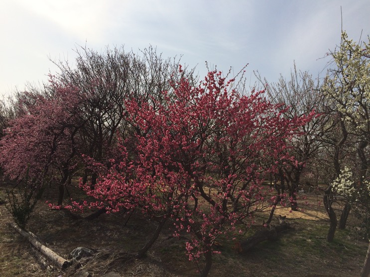 Photo 28-02-2015 14 30 01