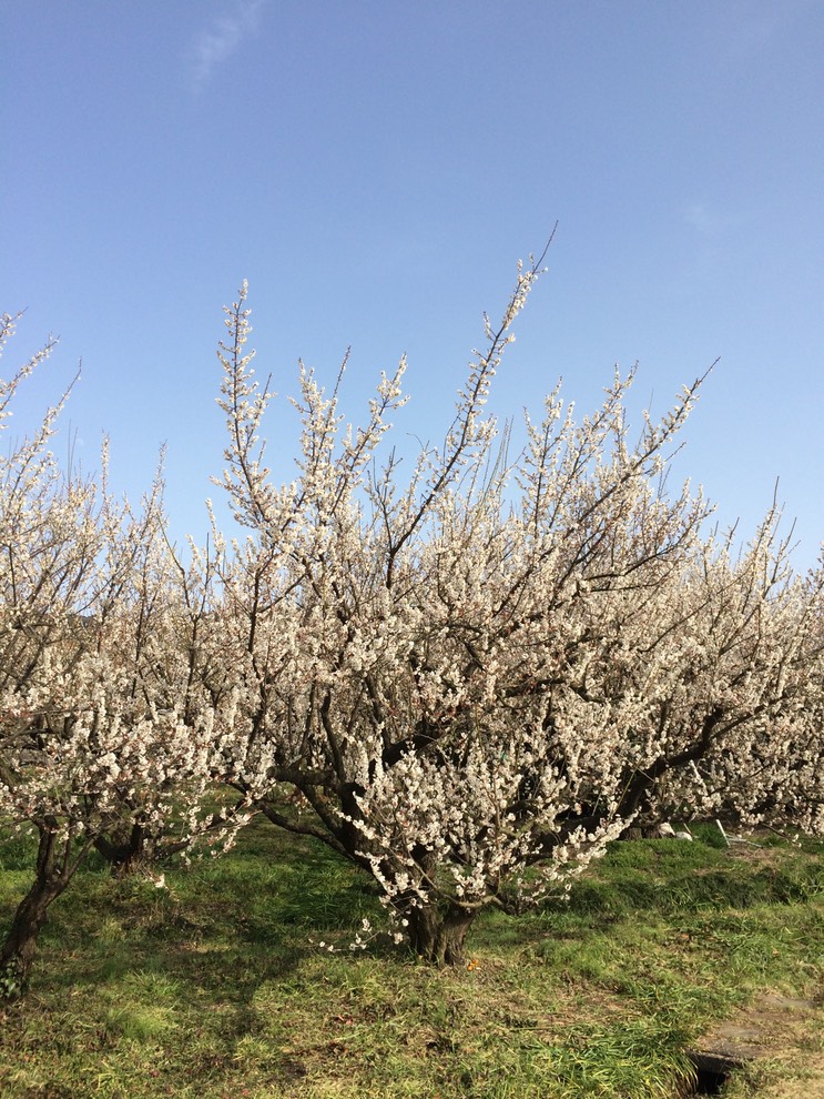 Photo 28-02-2015 14 30 44