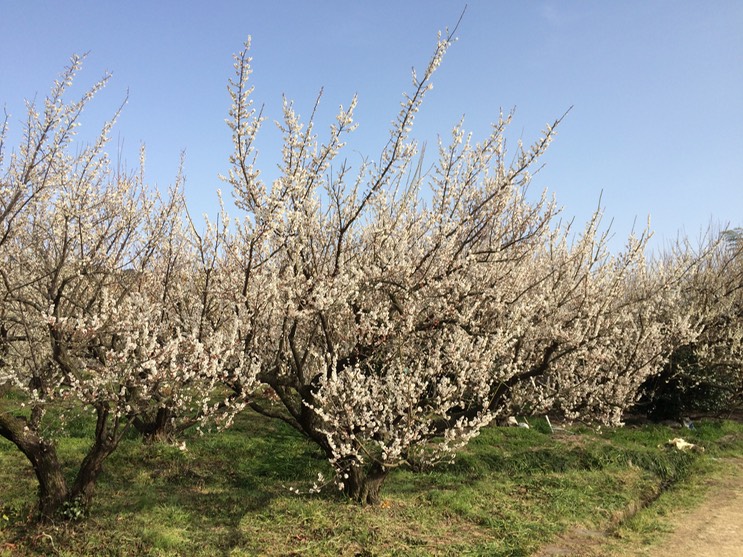 Photo 28-02-2015 14 30 49