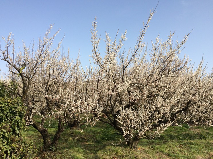 Photo 28-02-2015 14 30 51