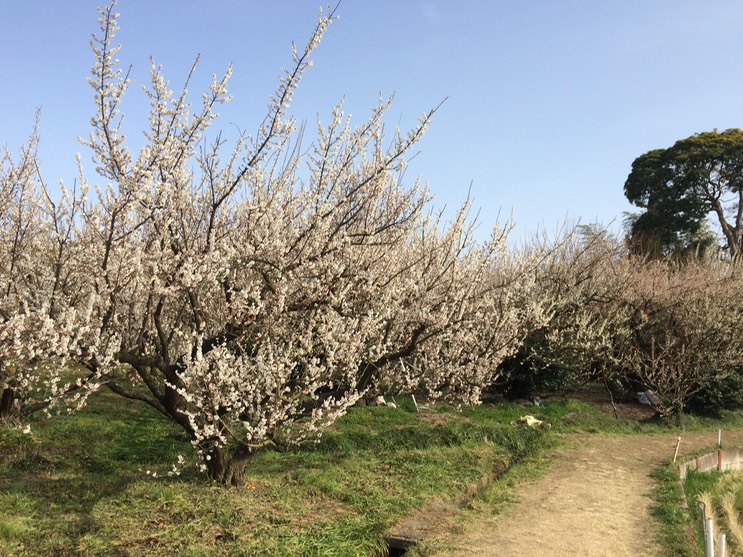 Photo 28-02-2015 14 30 56