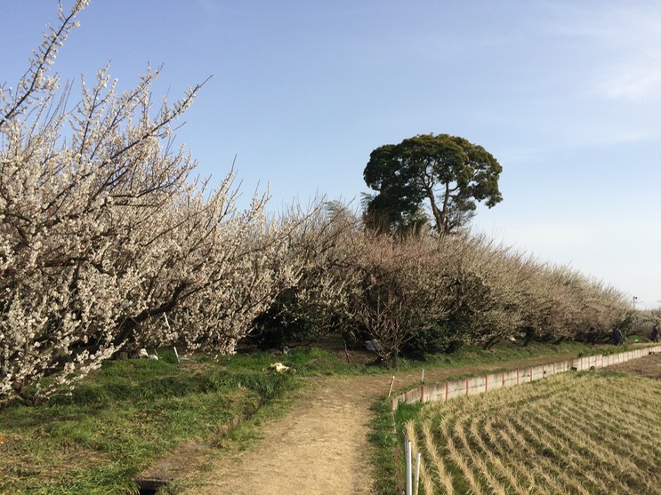 Photo 28-02-2015 14 31 00