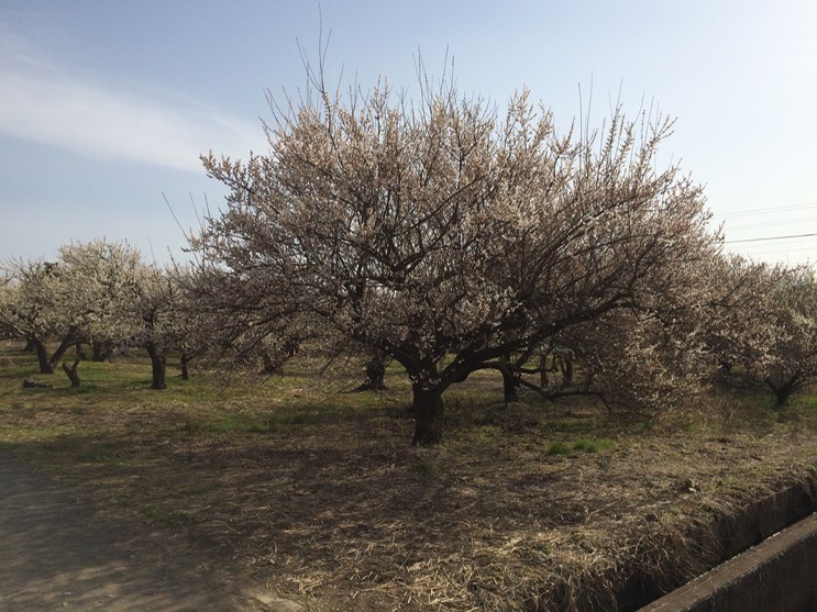 Photo 28-02-2015 14 36 00