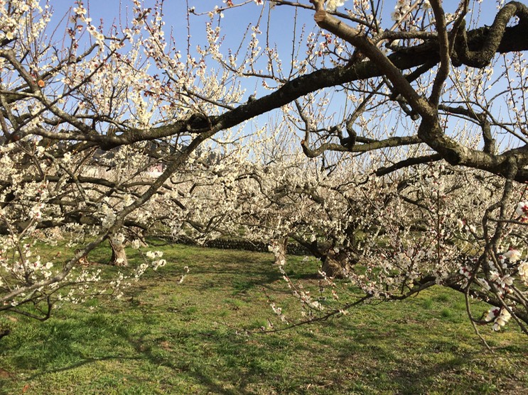 Photo 28-02-2015 14 36 07