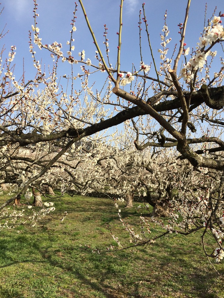 Photo 28-02-2015 14 36 12